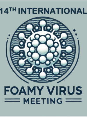 Foamy2025 : 14th International Foamy Virus Meeting